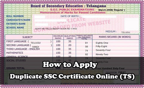 How to Apply Duplicate SSC Certificate Online