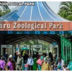 Nehru Zoo Park Hyderabad