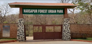 Narsapur Urban forest park