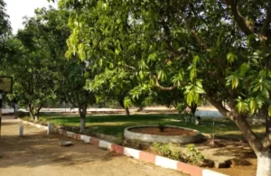  Sunrise Farm at Moinabad