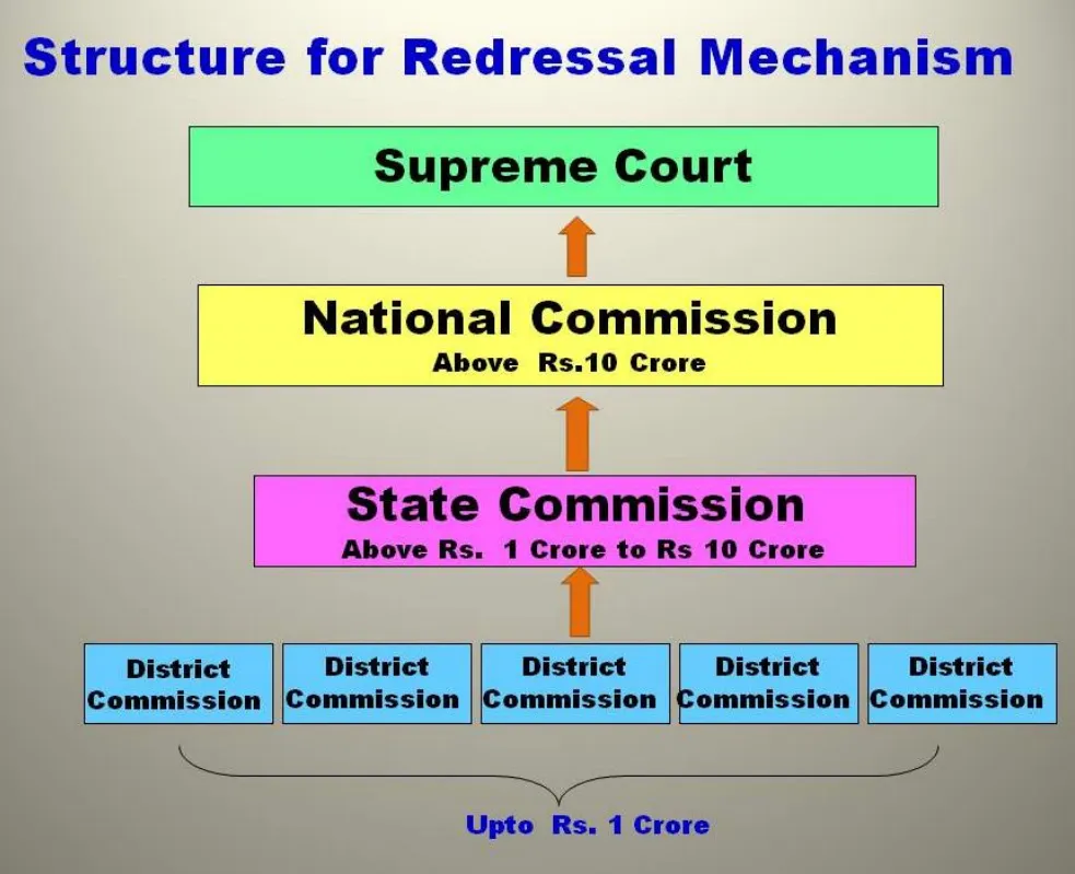Consumer Court Structure