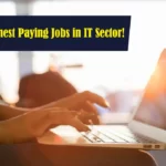 Top 10 Highest Paying Jobs in IT Sector